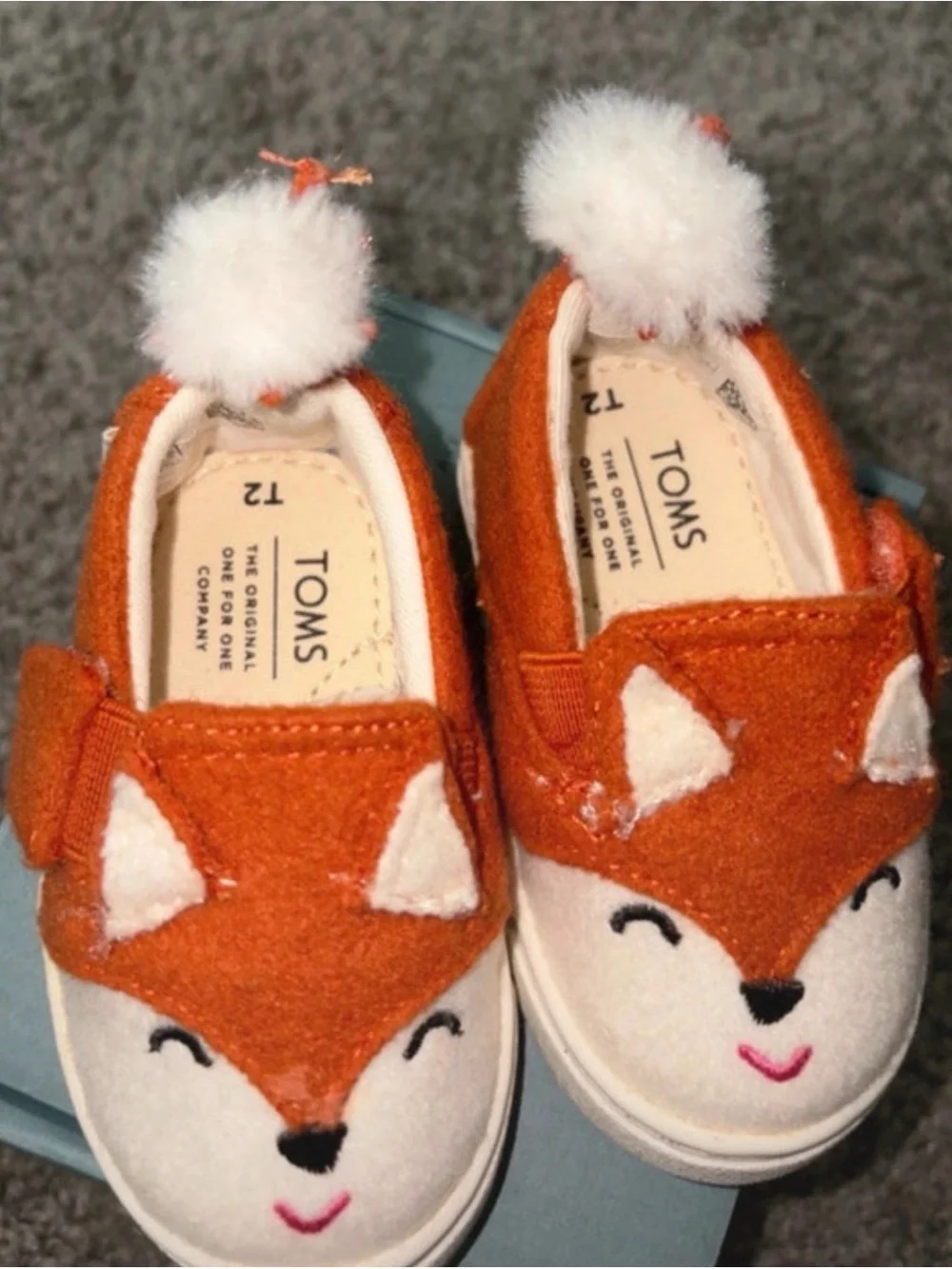 Toms adorable fox